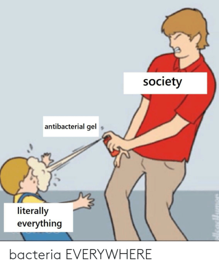 meme of person labeled “society”  spraying a child labeled “literally everything” with antibacterial gel. Caption says “Bacteria EVERYWHERE”